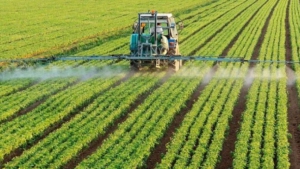 Увага! Попередження!