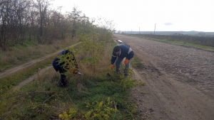 У Мануйлівці Маловисківської громади впорядковують узбіччя дороги, що веде з села до Малої Виски