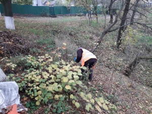 Комунальники Маловисківської громади продовжують роботи з благоустрою та прибирання довкілля