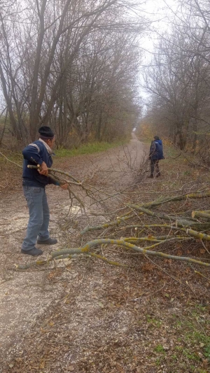 У Лутківці Мануйлівського старостинського округу розчищають дорогу від чагарників
