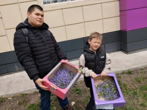 Вихованці натуралістичних гуртків дитячо-юнацького центру &laquo;Вись&raquo;  Маловисківської міської ради збирають лікарські рослини для виготовлення фіточаїв для наших Захисників